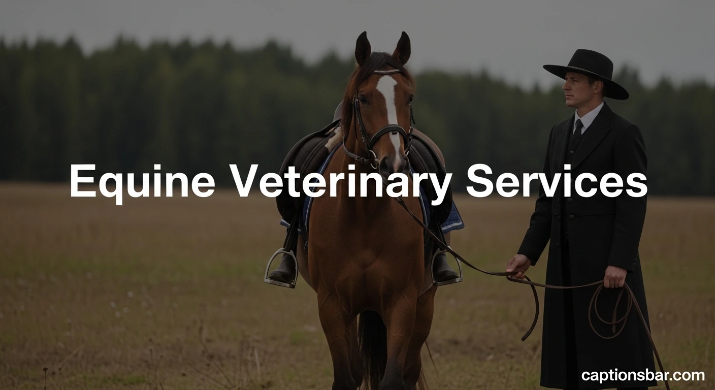 Equine Veterinary Services