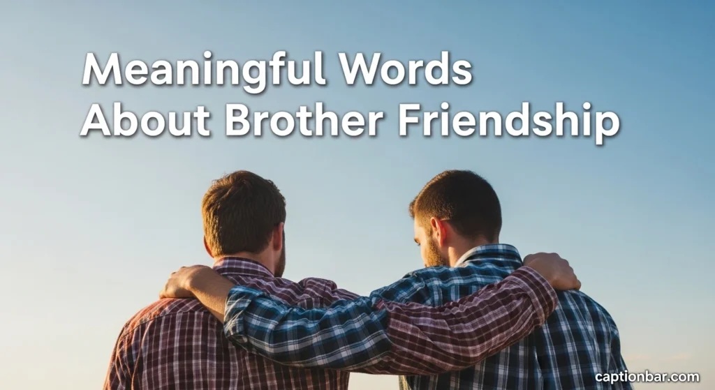 Meaningful Words About Brother Friendship