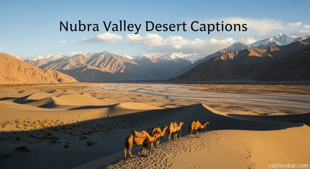 Nubra Valley Desert Captions