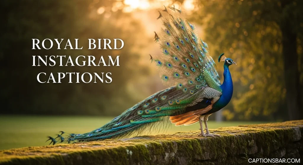 Royal Bird Instagram Captions