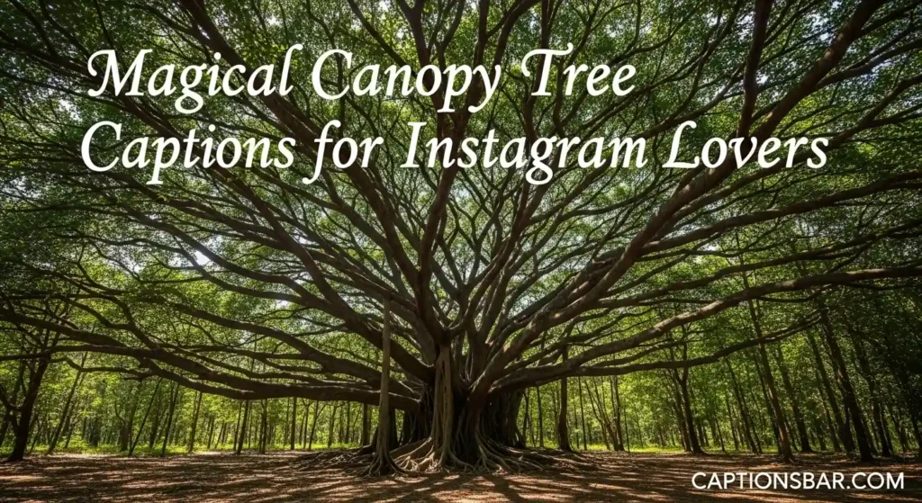 Magical Canopy Tree Captions for Instagram Lovers