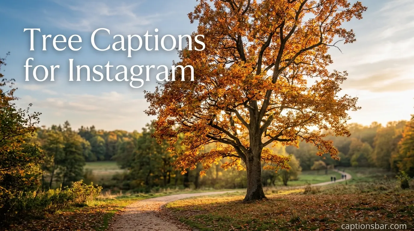 Tree Captions for Instagram