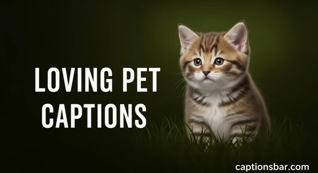 Loving Pet Captions