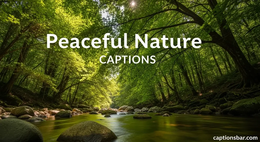 Peaceful Nature Captions