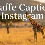 Giraffe Captions for Instagram